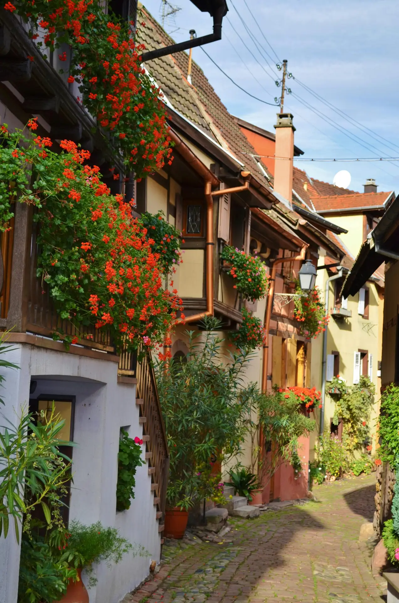 pretty village in Alsace region France